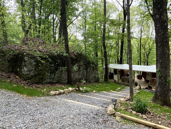 A rustic cabin with a gravel driveway, surrounded by dense forest.