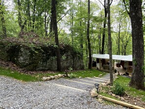 A rustic cabin with a gravel driveway, surrounded by dense forest.