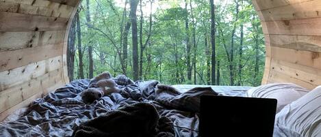 A circular wooden room with a bed, a laptop, and a teddy bear.