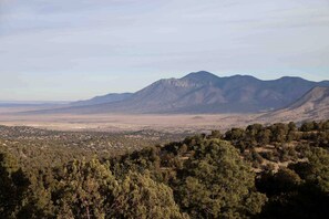 Un paisaje montañoso con un valle y un denso bosque en primer plano.