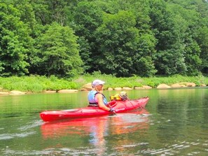 Una persona en un kayak rojo en un río rodeado de abundante vegetación.