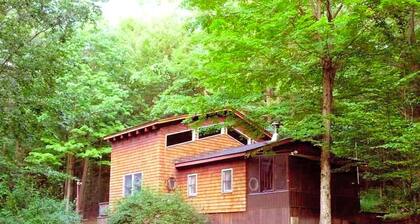 Cozy Vacation Cabin near Allegheny State Forest, Pennsylvania