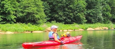 A person in a red kayak on a river surrounded by dense greenery.