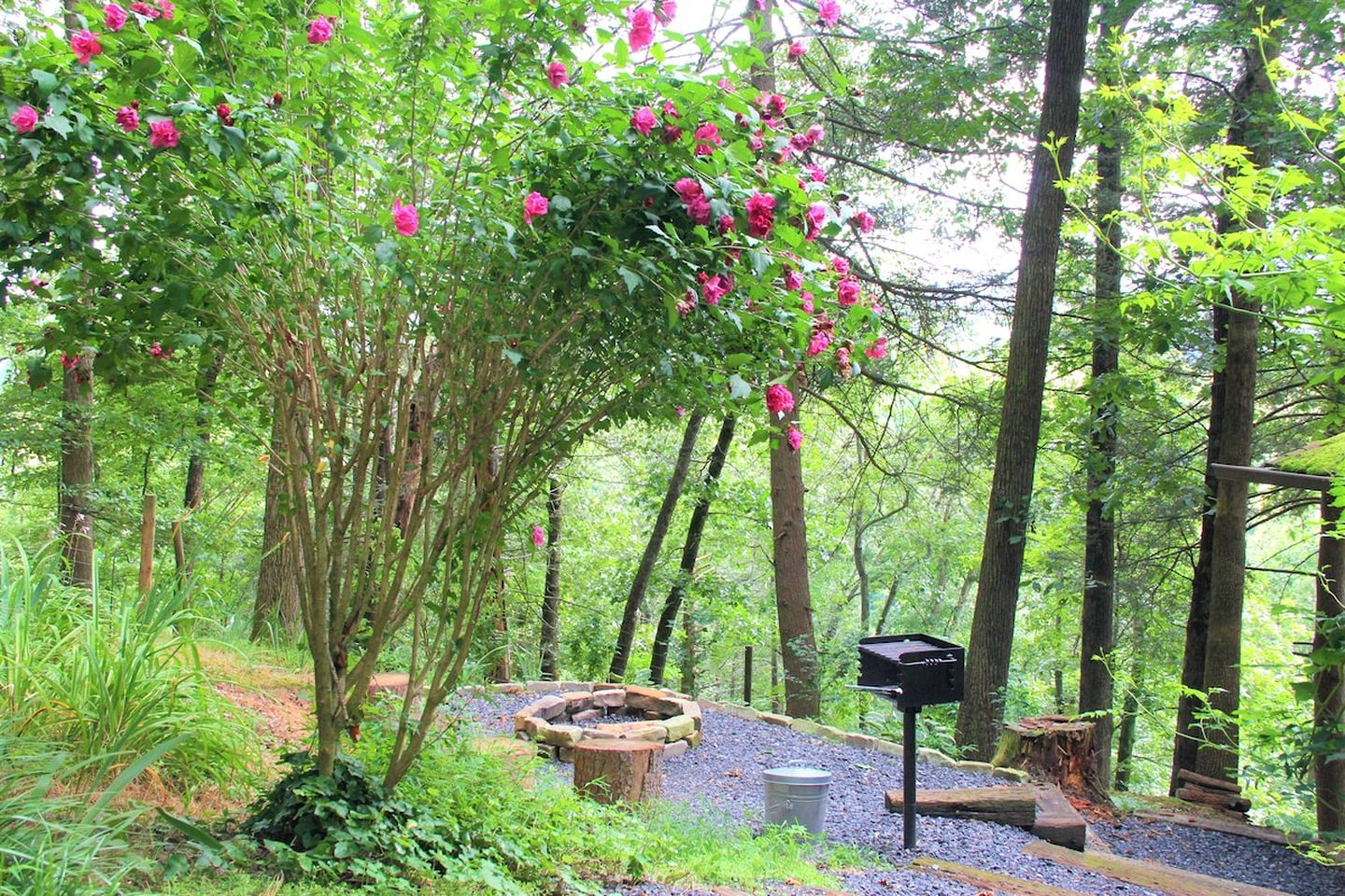 A forested area with a gravel path, a wooden bench, and a mailbox.