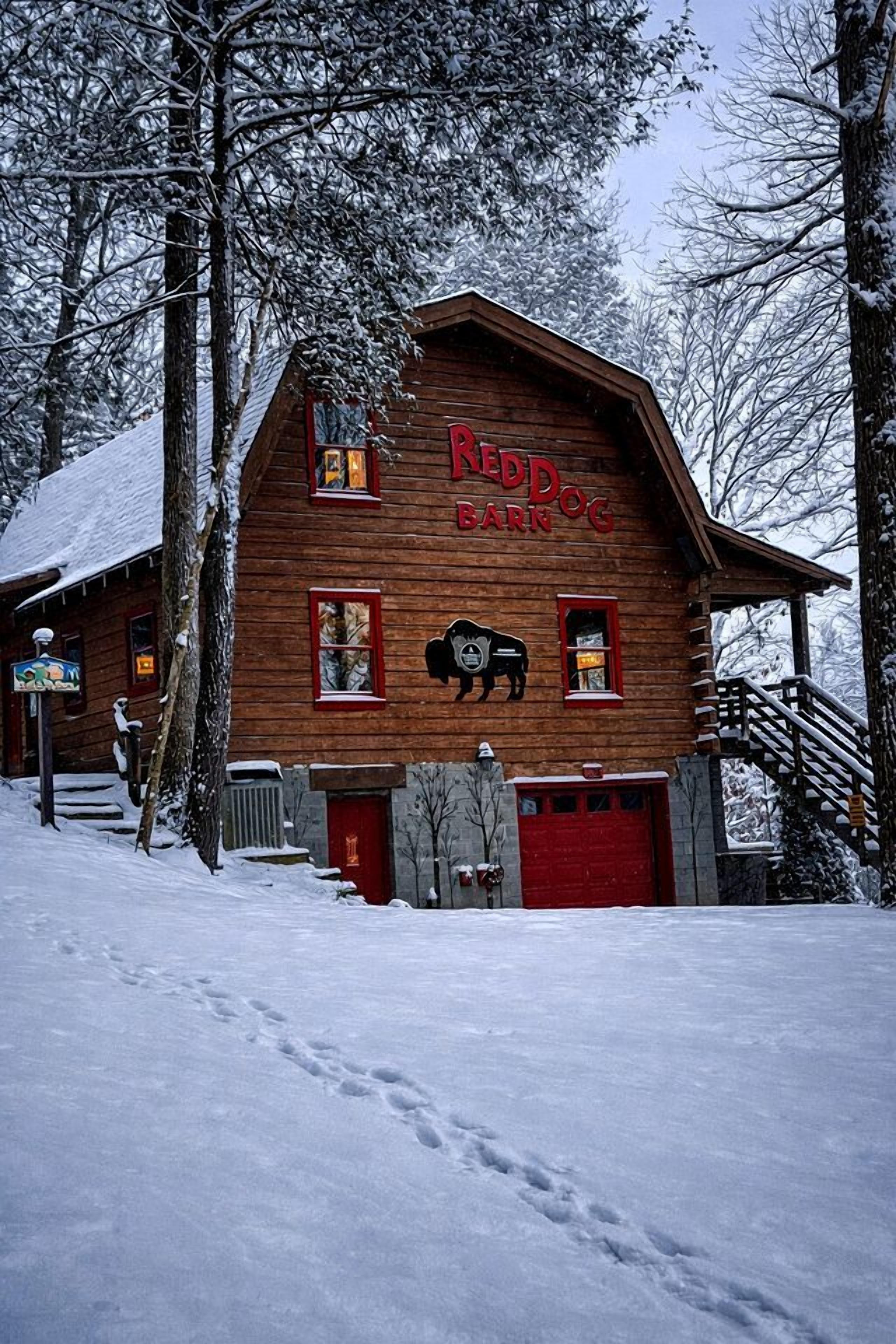 A wooden building with a red door and windows, labeled 'NADD DOG BARN.'