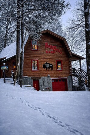 En træbygning med en rød dør og vinduer, med teksten 'NADD DOG BARN'.