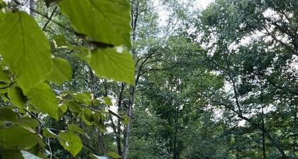 Lovely Bell Tent with Spacious Interior Great for Small Groups in Pennsylvania