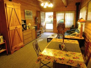 TV, DVD player, video library