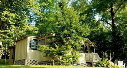 Lovely Lakeside Cabin Rental near Pharaoh Lake Wilderness Area in New York