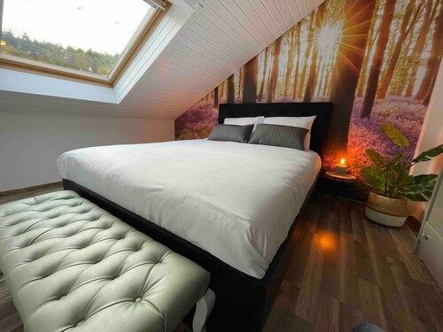 Scandinavian Mountain Lodge at the Skywalk Willingen