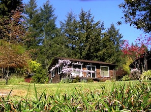 Eine Holzhütte mit Veranda, umgeben von einem Garten und Bäumen.