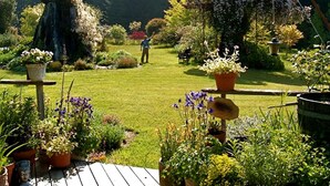 En have med forskellige plantekrukker og en træterrasse.