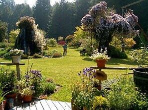 A garden with various potted plants and a wooden deck. - Rural Vacation Cottage near the Coast and the Town of Albion in Northern California (Albion)