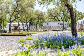 Property grounds - Charming Luxurious Airstream Beautifully Design with Indoor Bath in Texas (Spicewood)