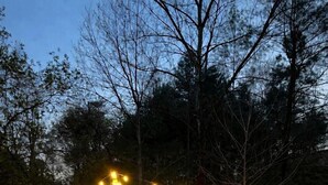 Un espacio al aire libre con mesas de picnic, un brasero, luces colgantes y un paraguas rojo.