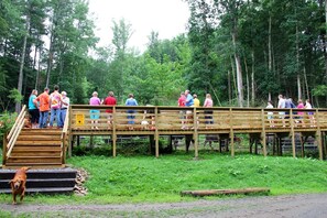 A wooden bridge with people standing on it, surrounded by a forested area.
