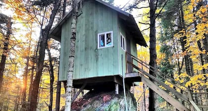 Enchanting Adirondack Cabin in the Treetops