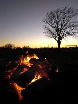 Un foc de camp amb llenya, un arbre sense fulles i un cel serè.
