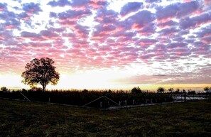 Silueta d'un arbre contra un cel al capvespre amb una tanca al primer pla.