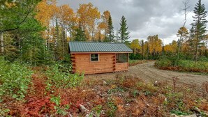 A small wooden cabin with a metal roof, surrounded by a forest with autumn-colored trees. - Cozy Tiny Cabin - Off-Grid Experience with Sled Dogs Year 'round in Minnesota (Grand Marais)