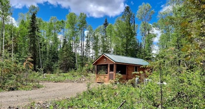 Cozy Tiny Cabin - Off-Grid Experience with Sled Dogs Year 'round in Minnesota