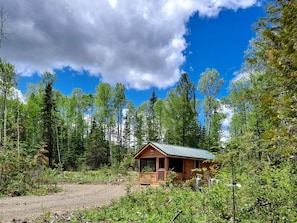 A cabin in a forest with a dirt path leading to it.