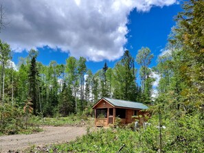 Una cabana al bosc, amb un camí de terra que hi mena.