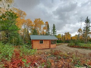 A small wooden cabin with a metal roof, surrounded by a forest with autumn-colored trees. - Cozy Tiny Cabin - Off-Grid Experience with Sled Dogs Year 'round in Minnesota (Grand Marais)
