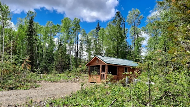 A cabin in a forest with a dirt path leading to it. - Cozy Tiny Cabin - Off-Grid Experience with Sled Dogs Year 'round in Minnesota (Grand Marais)