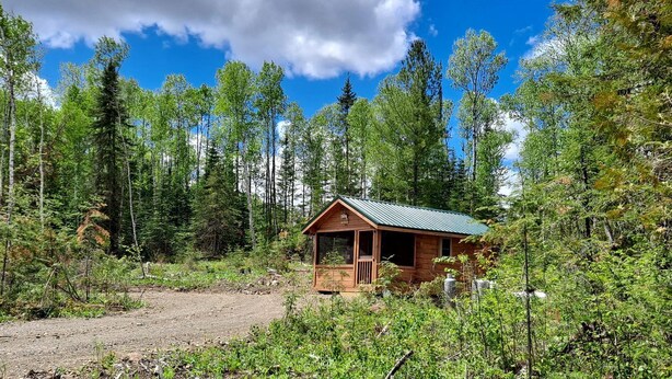 A cabin in a forest with a dirt path leading to it.
