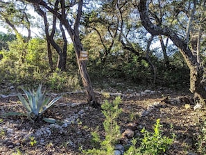 A natural outdoor area with a sign reading 'TINY LOOP,' surrounded by trees and sparse vegetation. - Tiny House with Amazing Views and Private Hiking Trails in Hill Country, Texas (Pipe Creek)