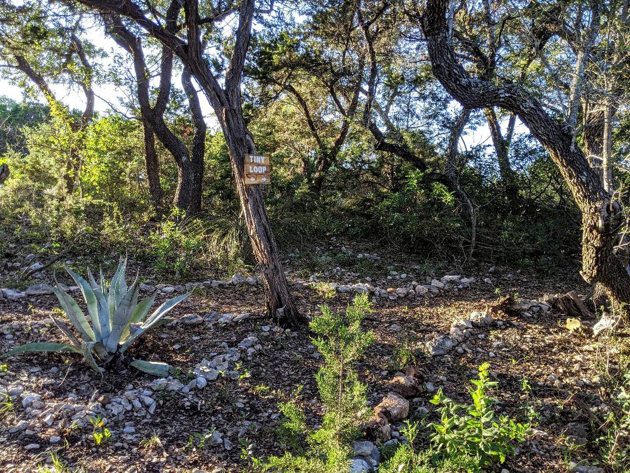 A natural outdoor area with a sign reading 'TINY LOOP,' surrounded by trees and sparse vegetation.