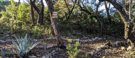 A natural outdoor area with a sign reading 'TINY LOOP,' surrounded by trees and sparse vegetation.