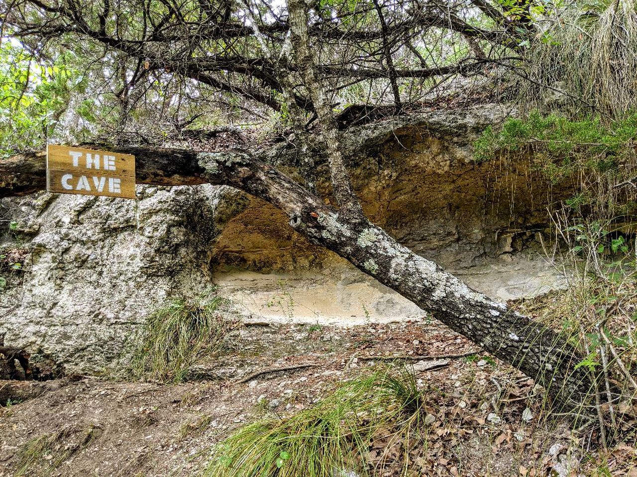 A natural cave entrance with a sign reading 'THE CAVE.'