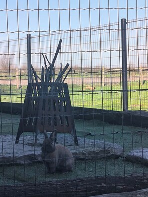 Enceinte de l’hébergement
