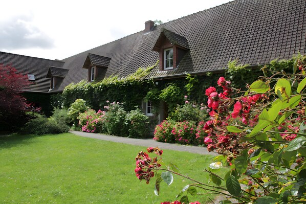 Ein Wohngebäude mit geneigtem Dach, einem sichtbaren Fenster und einem gepflegten Garten mit verschiedenen Pflanzen und Blumen.
