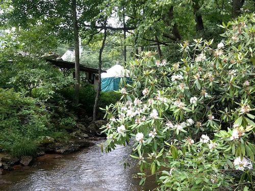 Charming Yurt Rental Nestled in the Forest near Friendsville, Maryland