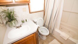 Une salle de bain avec un lavabo, des toilettes et une baignoire.