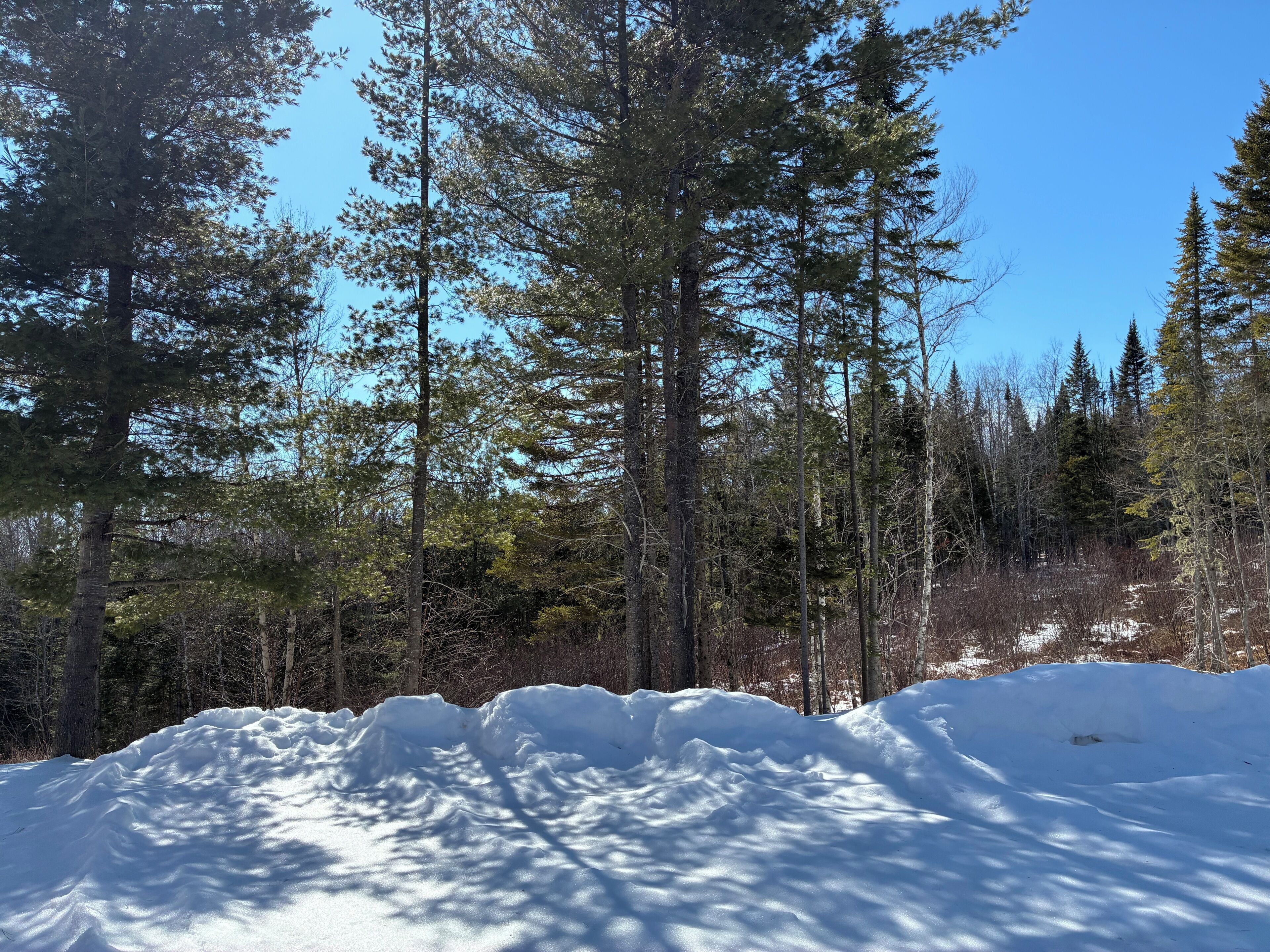 Terrain de l’hébergement 