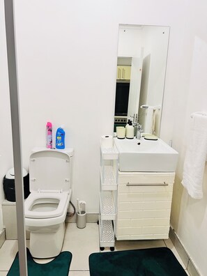 Bathroom - City junction studio apartment in the CBD town (Windhoek)