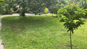 Terrain de l’hébergement 