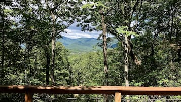 A forested area with a wooden railing and a view of distant mountains.