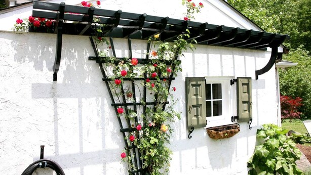 En hvid bygning med et sort espalier langs væggen, røde blomster og et vindue med grønne skodder.