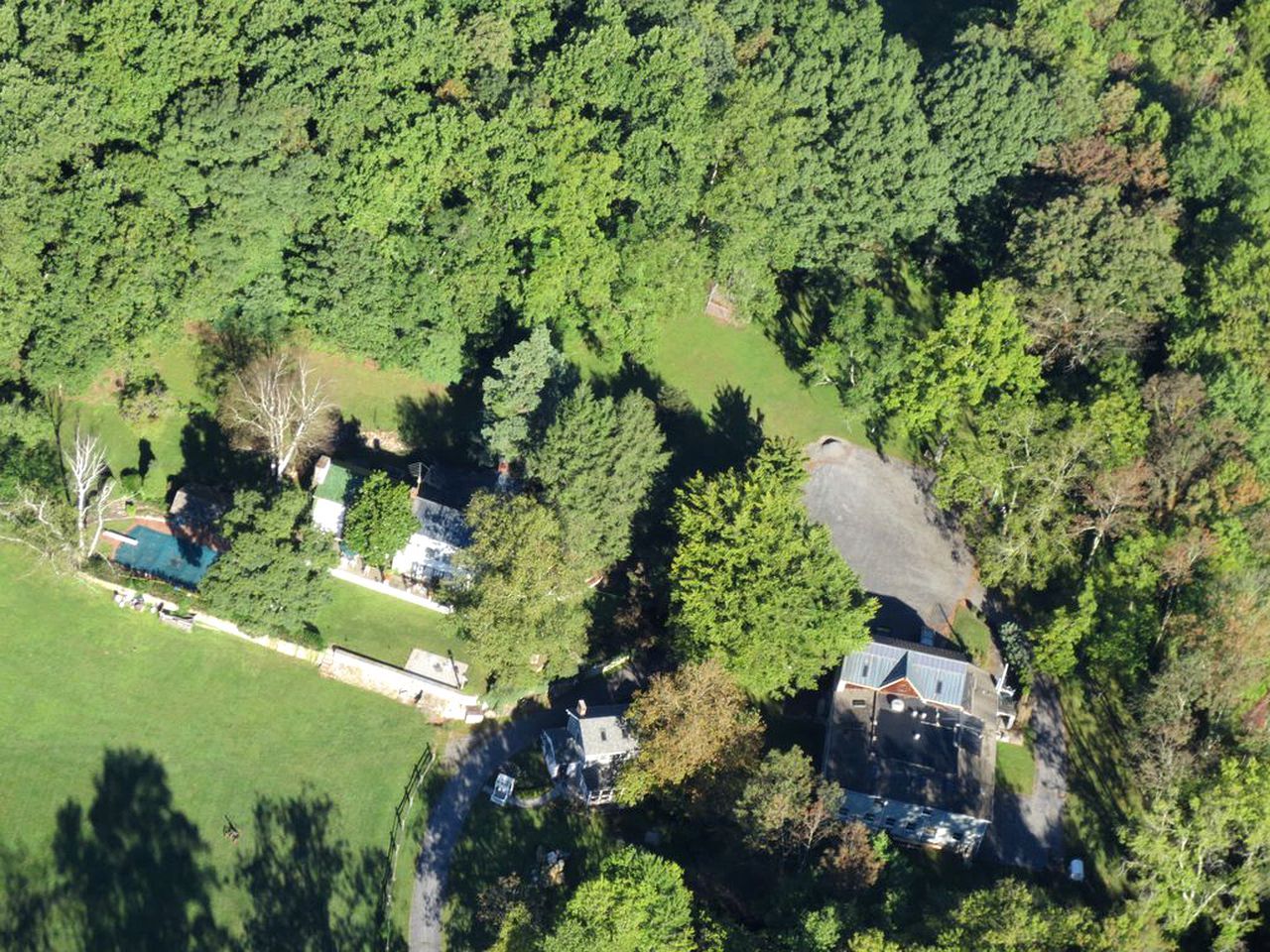 An aerial view of a residential area with houses surrounded by dense greenery.