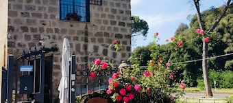 Room 'Via Francigena' with Wi-Fi and Air Conditioning