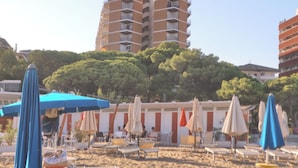 Una playa con tumbonas y sombrillas, un edificio alto al fondo y árboles.