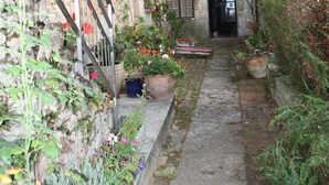Un estrecho sendero de piedra que conduce a un edificio con puerta y ventanas de madera, rodeado de macetas con plantas y flores.