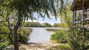 A pathway leading to a building with a view of a calm river and surrounding greenery. - Cabaña Los Juncos (Tigre)