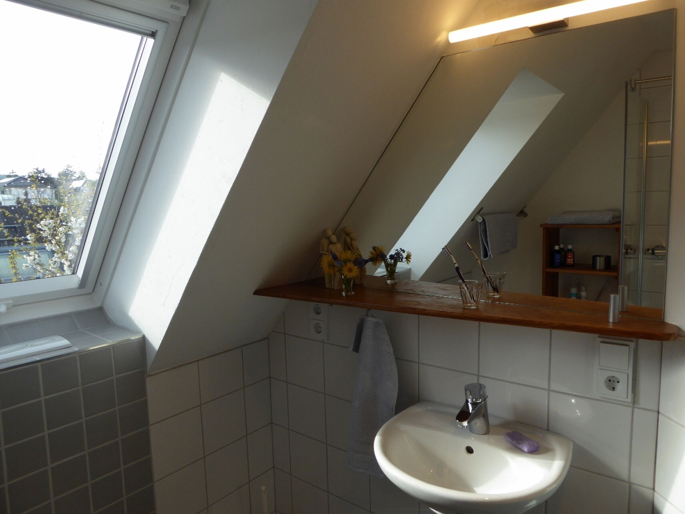 A bathroom with a skylight, a sink, a mirror, and a shelf with toiletries.