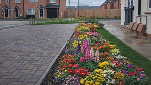 En bostadsgata med hus, en blomsterrabatt med olika sorters blommor och en asfalterad gångväg.